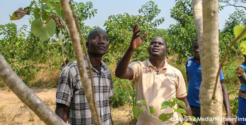 Des arbres pour l’Ouganda, un projet de reforestation pour un futur écologiquement durable