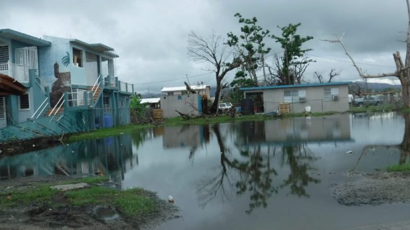 Une crise sanitaire menace Porto Rico après le passage de l’ouragan Maria