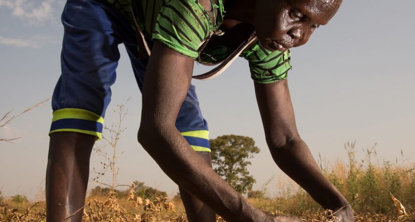Le Soudan du Sud face à la pire crise alimentaire depuis sa fondation, il y a 10 ans