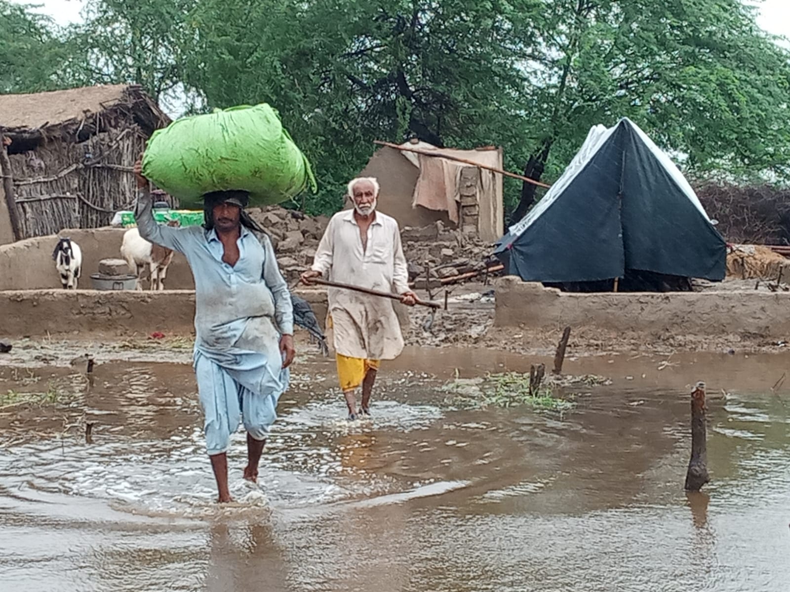 floods Pakistan Malteser International